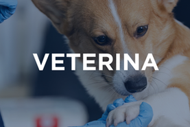 veterina_fast_246d61.png